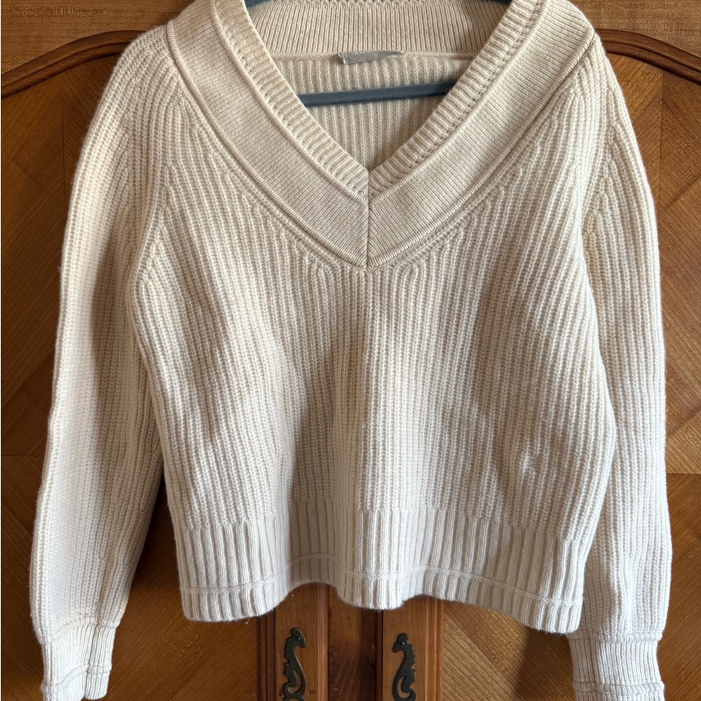 Everlane Wool V-Neck Sweater